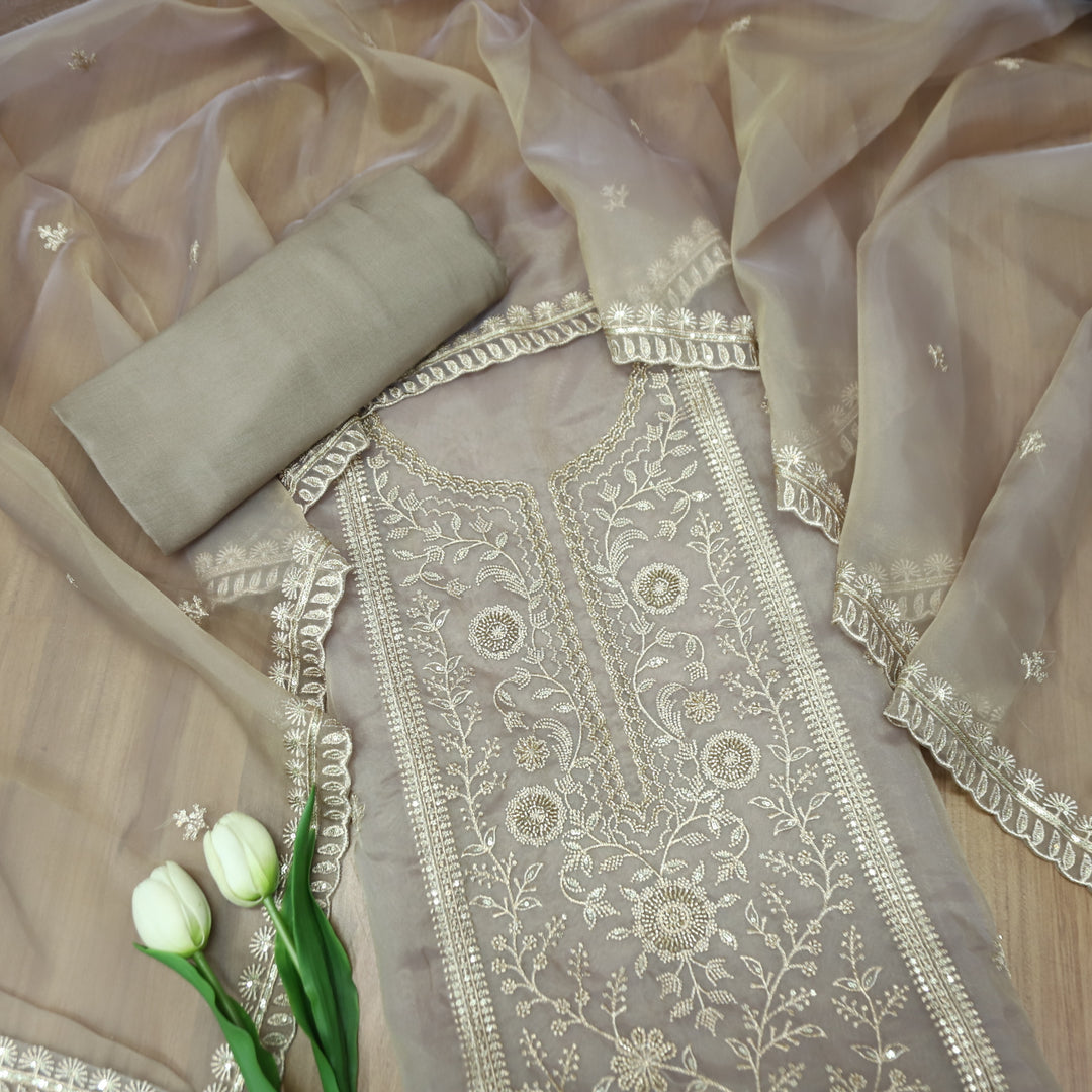 Sanaya Tan Hazel Panel Style with Embellish Zari and Kardana Work Organza Set