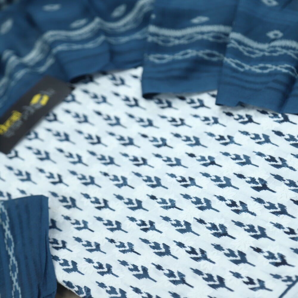 White and Navy Blue Chikankari Inspired Top with Printed Dupatta Set-2