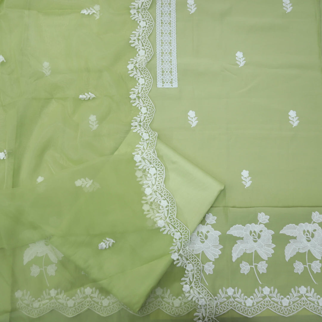 Rushna Mint Green Cotton Silk Top with Thread Work Organza Dupatta Set