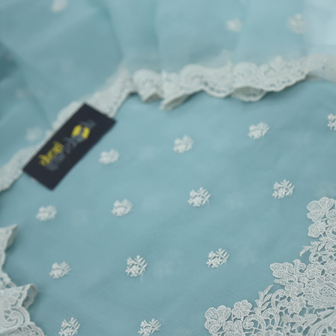 Season Of Smile Powder Blue Organza Chiffon Top With Organza Chiffon Dupatta Set