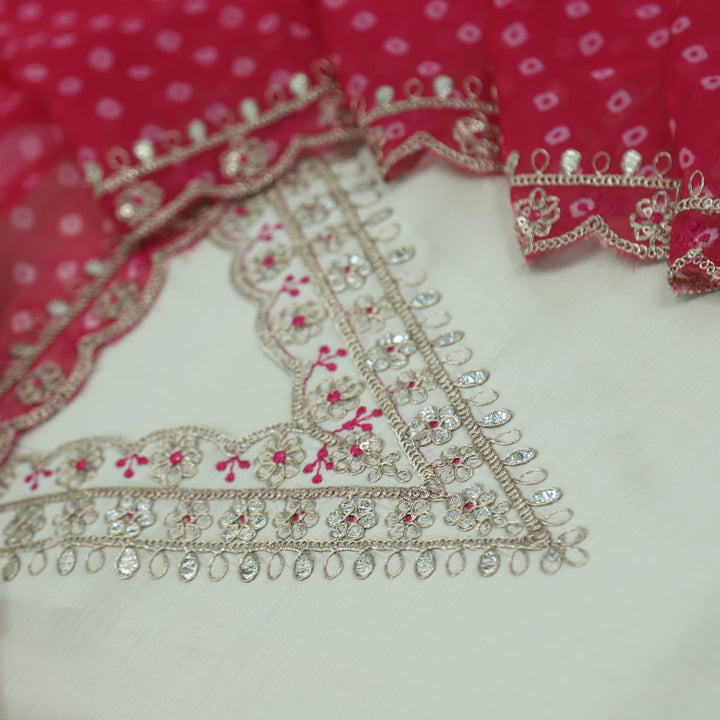 Hasrat Light Cream Embellished V Neck Muslin Top and Organza Dupatta