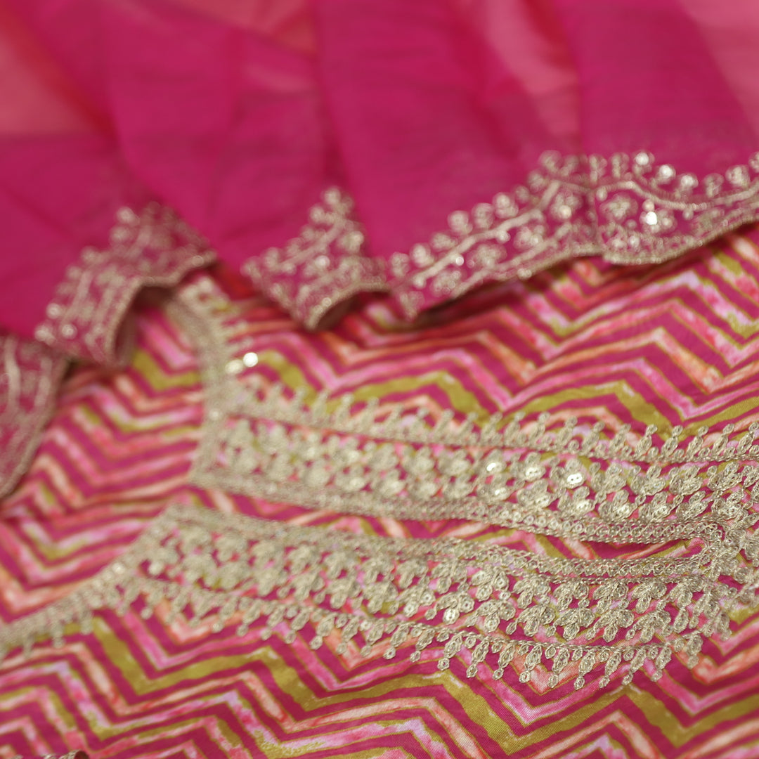 Rishta Barbie Pink Zig-Zag Printed Zari Embroidered Organza Suit Set