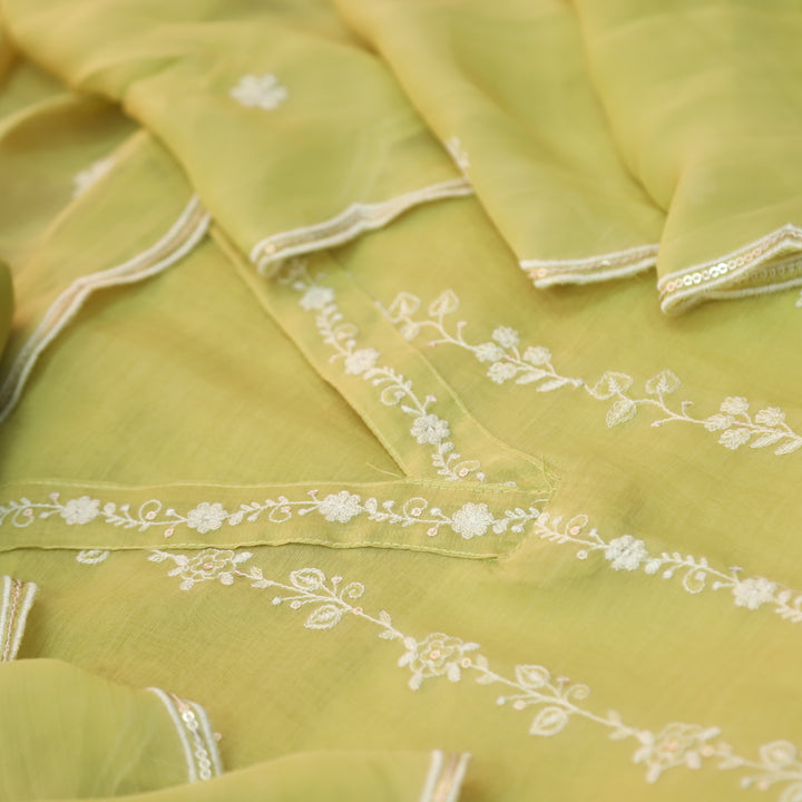 Aaayena Crayola Yellow V Neck Thread Embroidered Sheer Muslin Suit Set