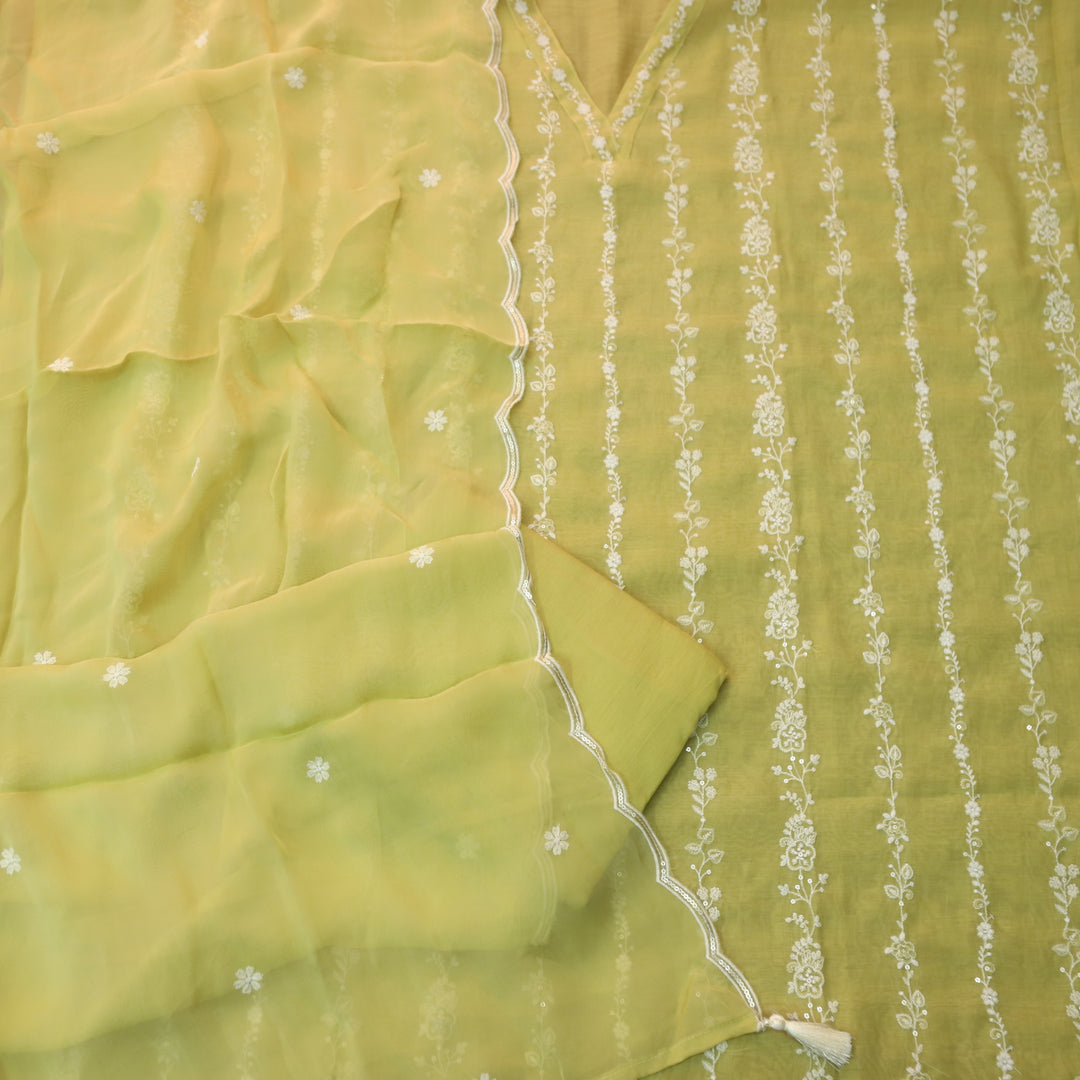 Aaayena Crayola Yellow V Neck Thread Embroidered Sheer Muslin Suit Set