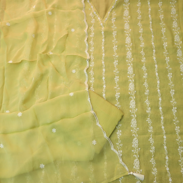 Aaayena Crayola Yellow V Neck Thread Embroidered Sheer Muslin Suit Set