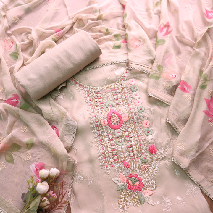Sakhi Hazel Frappe with Kardana Embellish Neck in All Over Thread Work Organza Set