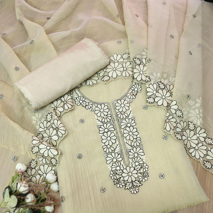 Avinya Buttermilk Beige Thread Embroidered Work in Crinkle Shimmer Tissue Organza Set