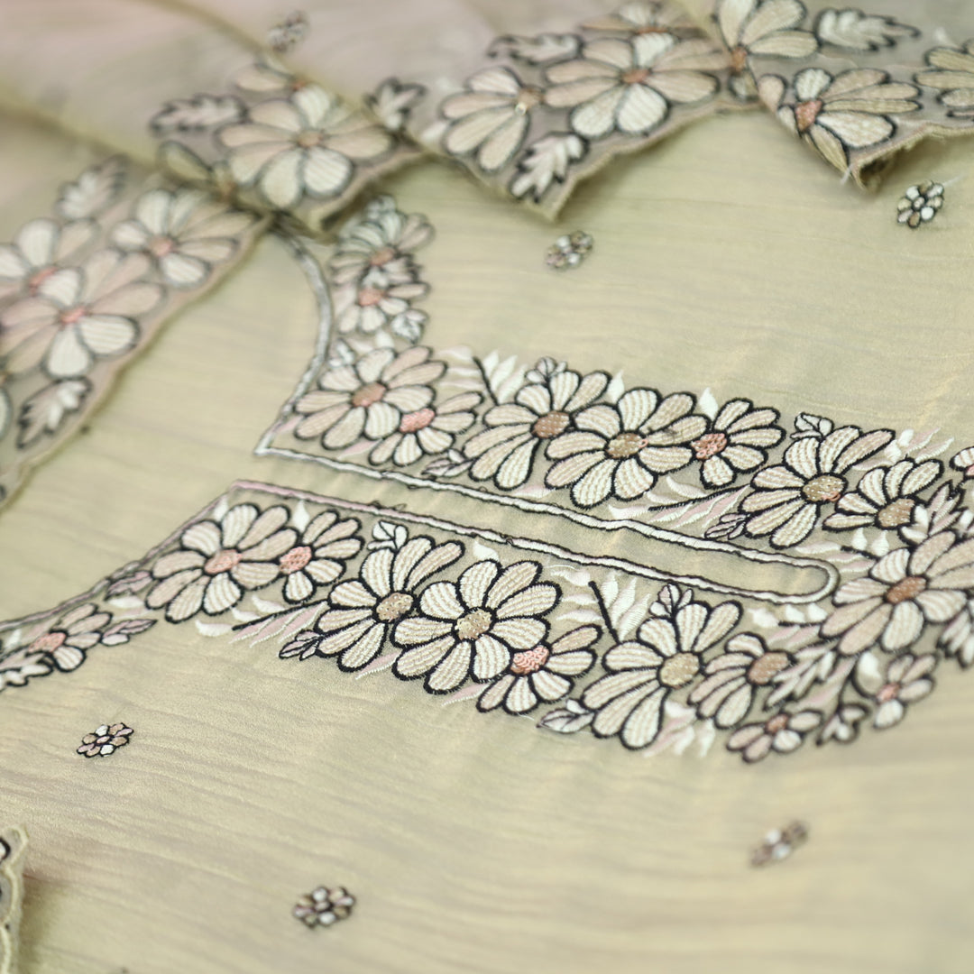 Avinya Buttermilk Beige Thread Embroidered Work in Crinkle Shimmer Tissue Organza Set