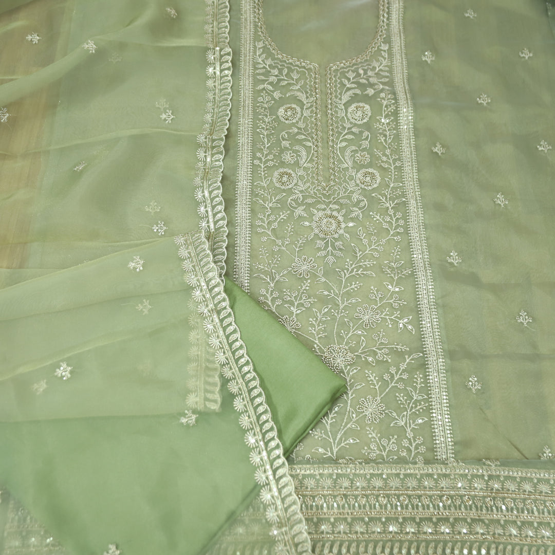 Sanaya Fern Green Panel Style with Embellish Zari and Kaddana Work Organza Set