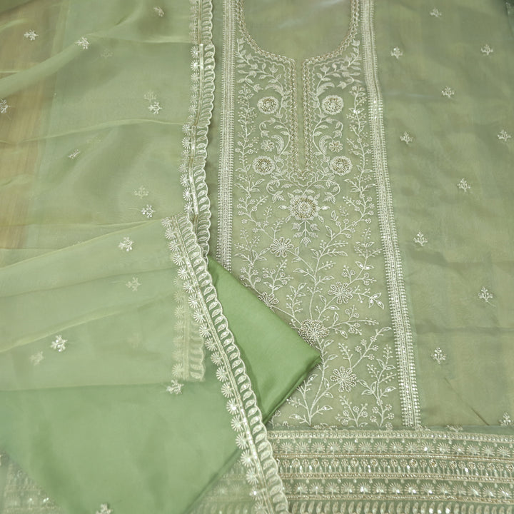 Sanaya Fern Green Panel Style with Embellish Zari and Kaddana Work Organza Set