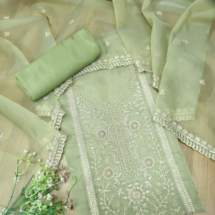 Sanaya Fern Green Panel Style with Embellish Zari and Kaddana Work Organza Set