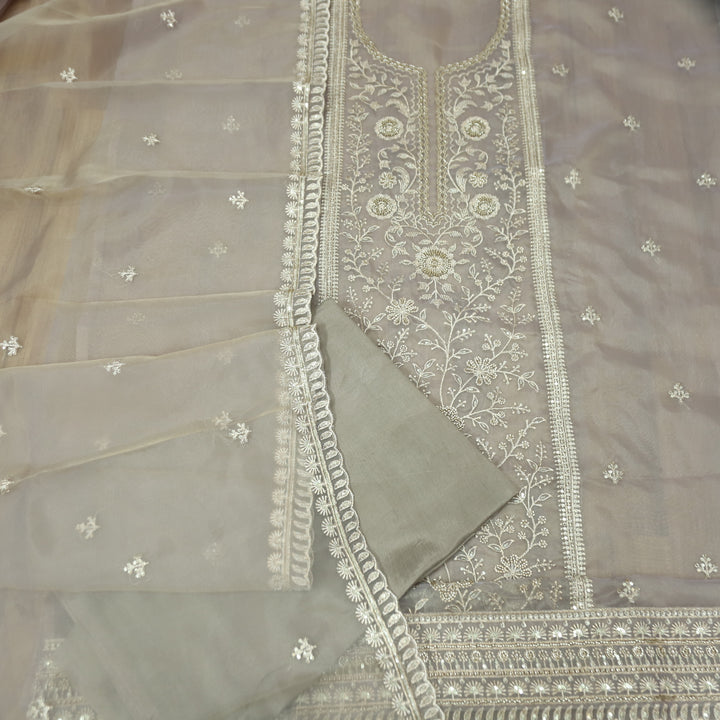 Sanaya Tan Hazel Panel Style with Embellish Zari and Kaddana Work Organza Set