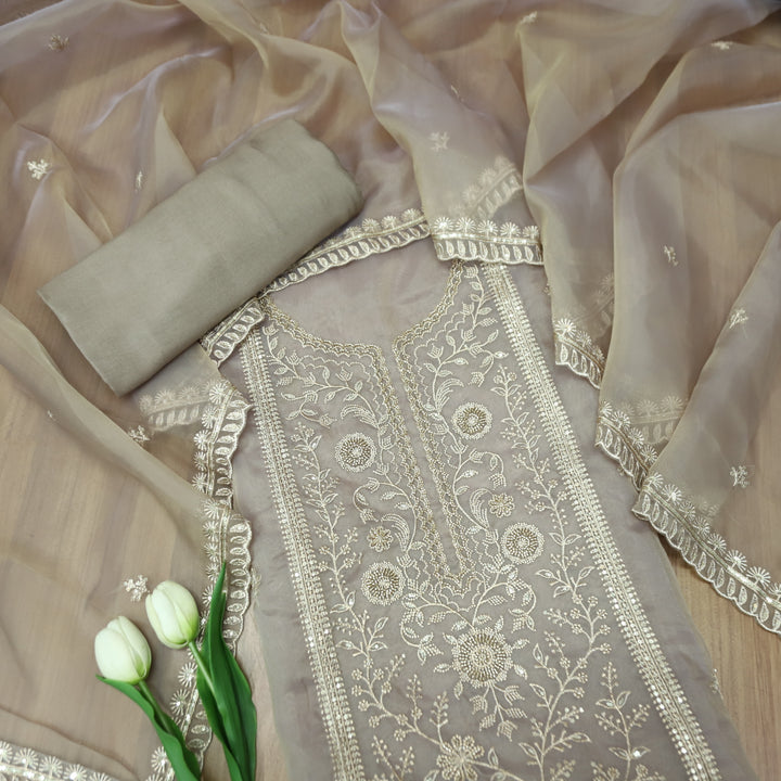 Sanaya Tan Hazel Panel Style with Embellish Zari and Kaddana Work Organza Set