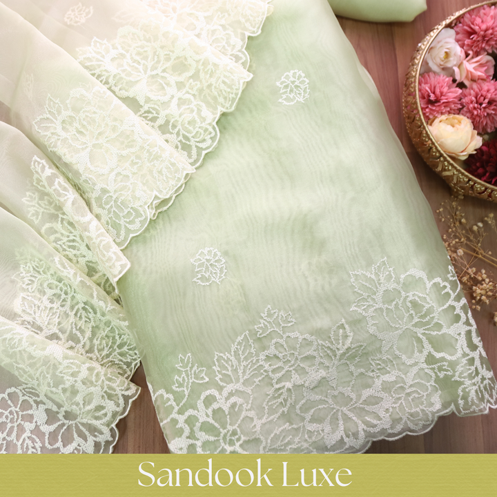 Ragini Mint Green Cross-Stitch Hem Work Glass Organza Set