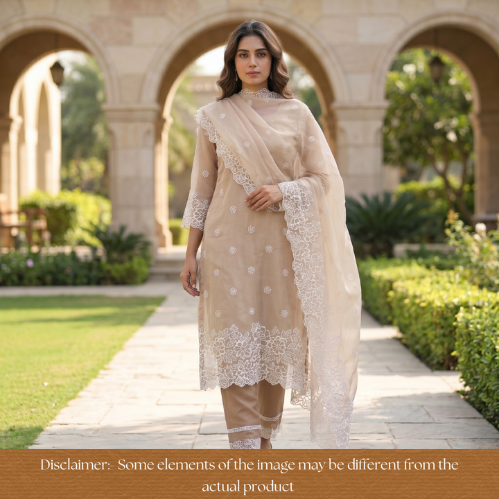 Ragini Peanut Beige Cross-Stitch Hem Work Glass Organza Set