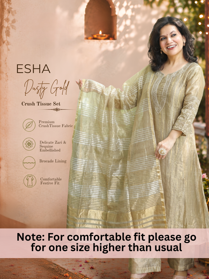 Esha Dusty Gold Zari work Crush Tissue 3 Piece Set