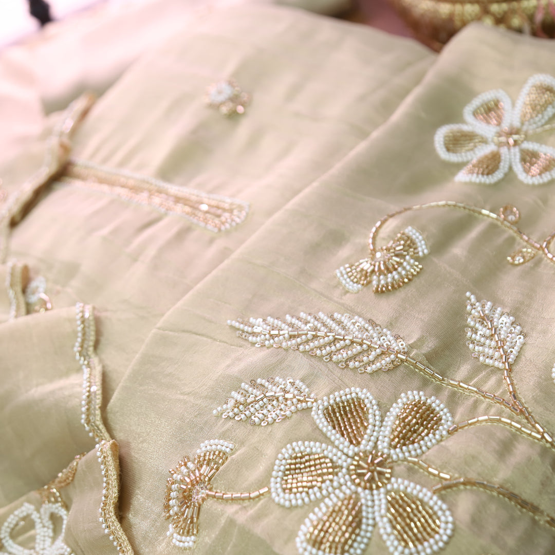 Mayuri Beige Moti Embellish Hem Crinkle Shimmer Tissue Set