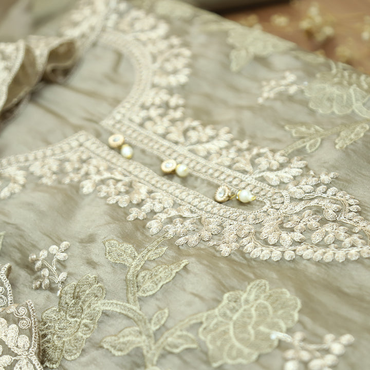 Avinya Chrome Hazel Embellished Work Shimmer Organza Suit Set