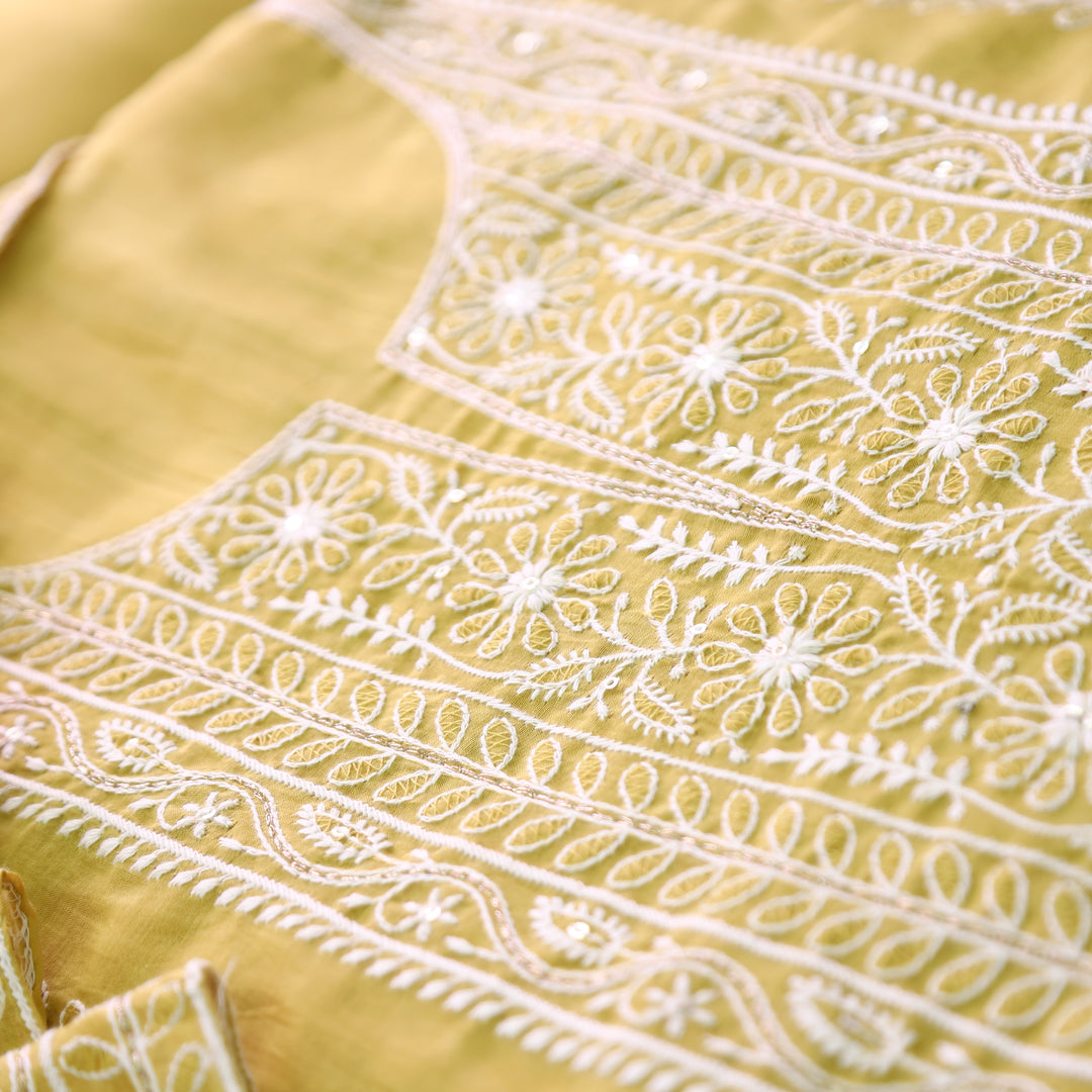 Vamika Bluish Grey Chikankari Panel Mul Chanderi Set