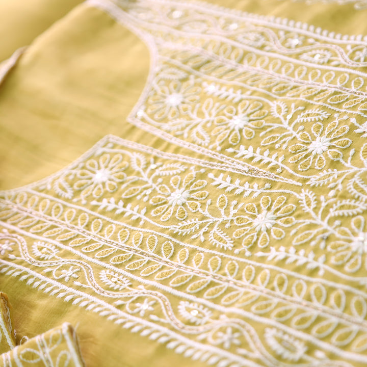 Vamika Bluish Grey Chikankari Panel Mul Chanderi Set