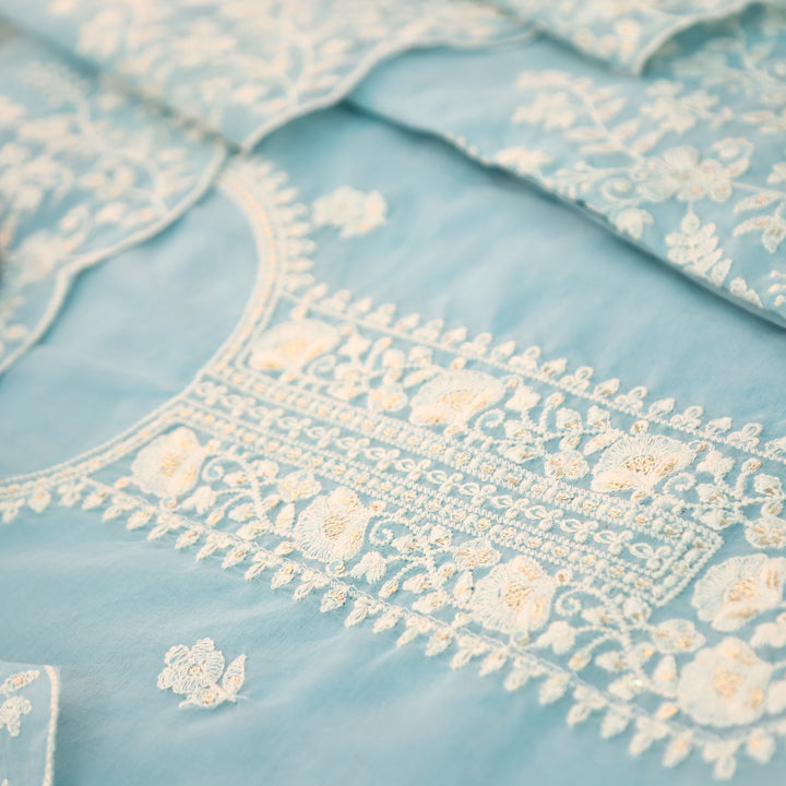 Rushali Powder Blue Embroidered Neck and Hem Mul Cotton Set