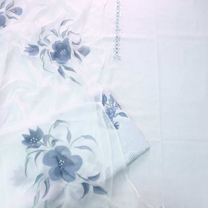 Raina Pearl White Moti Work Patch with Patra Top and Hand Painted Chiffon Dupatta Set