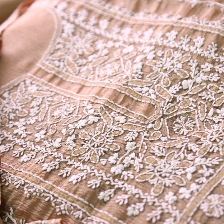 Avinya Peanut Brown Hand Embroidered Glass Crinkle Organza Set