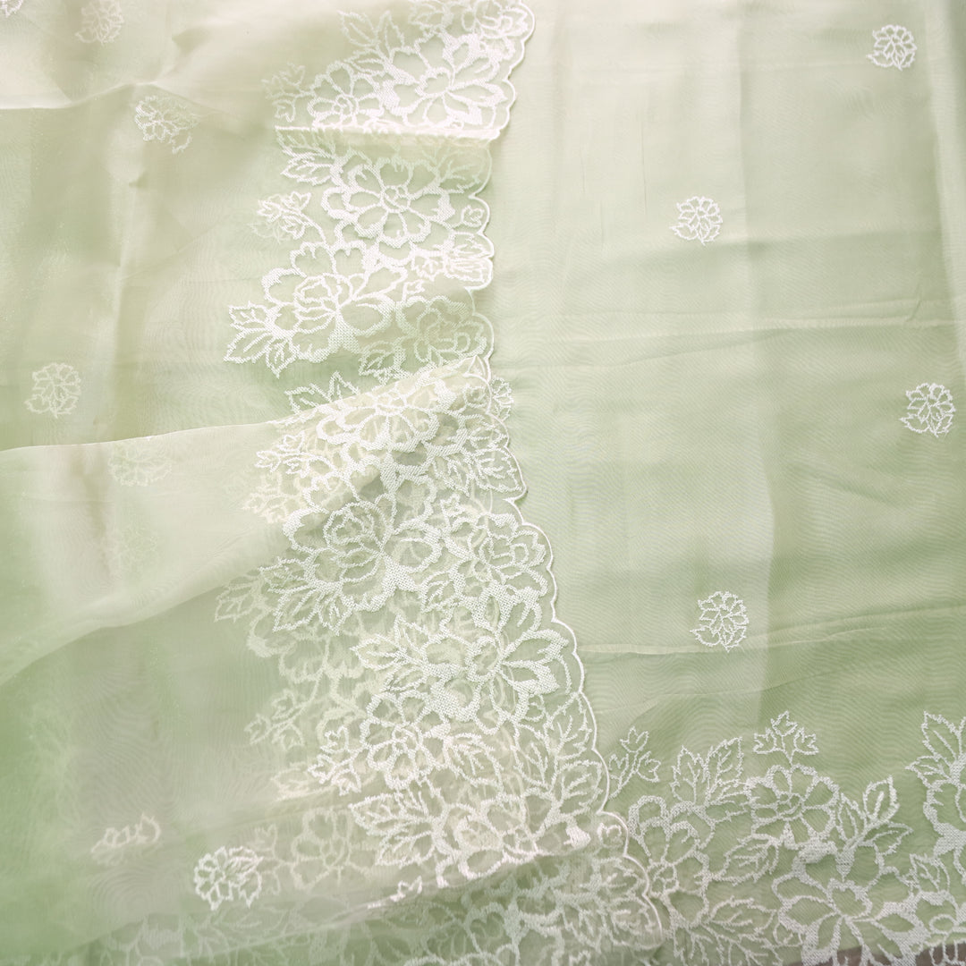 Ragini Mint Green Cross-Stitch Hem Work Glass Organza Set