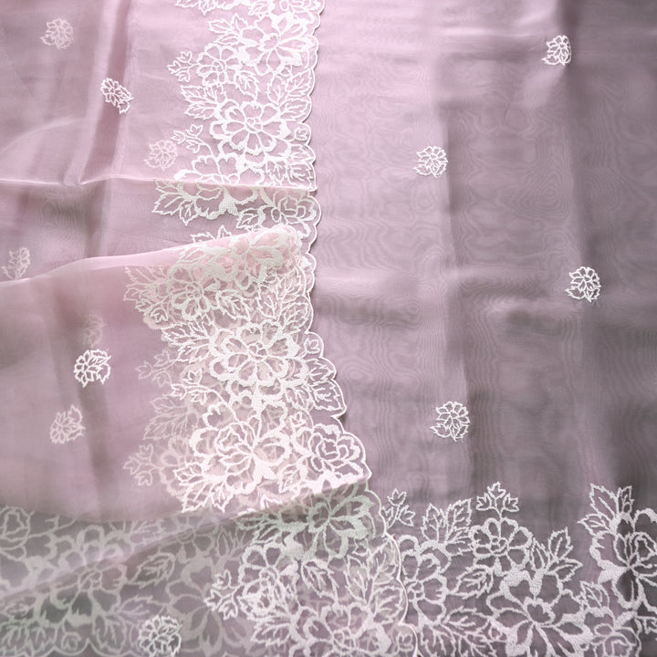 Ragini Fern Mauve Cross-Stitch Hem Work Glass Organza Set