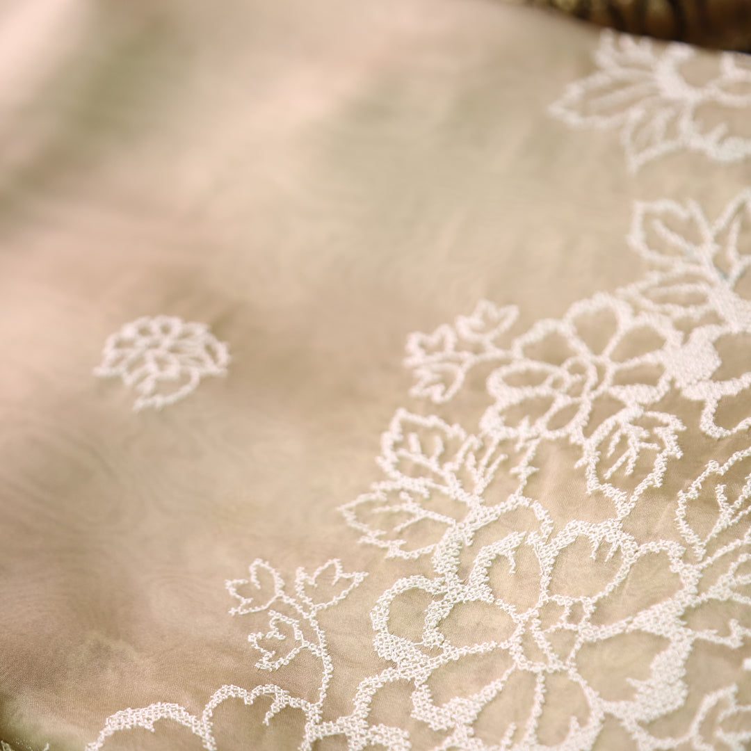 Ragini Peanut Beige Cross-Stitch Hem Work Glass Organza Set