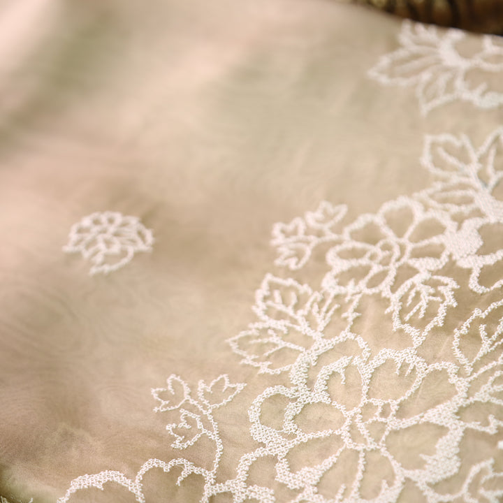 Ragini Peanut Beige Cross-Stitch Hem Work Glass Organza Set