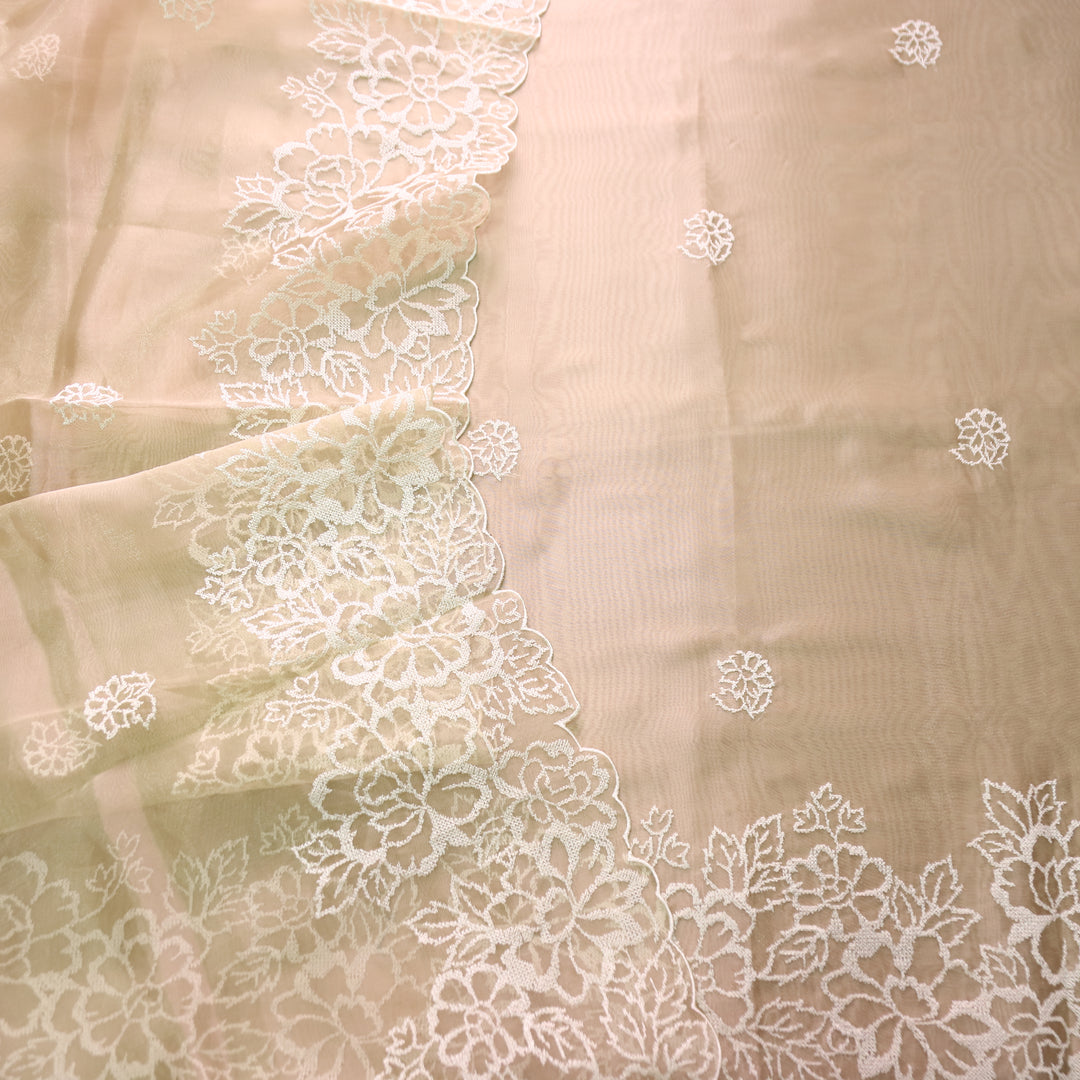 Ragini Peanut Beige Cross-Stitch Hem Work Glass Organza Set