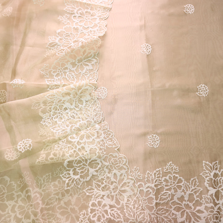 Ragini Peanut Beige Cross-Stitch Hem Work Glass Organza Set