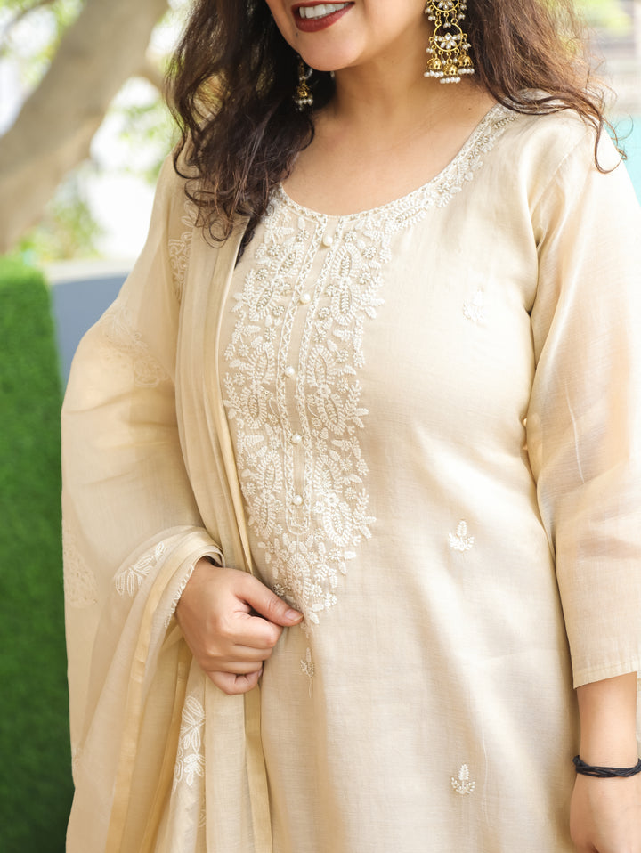 Haseena Ivory Beige Thread Embroidery with Pearl Work Shimmer Tissue Set