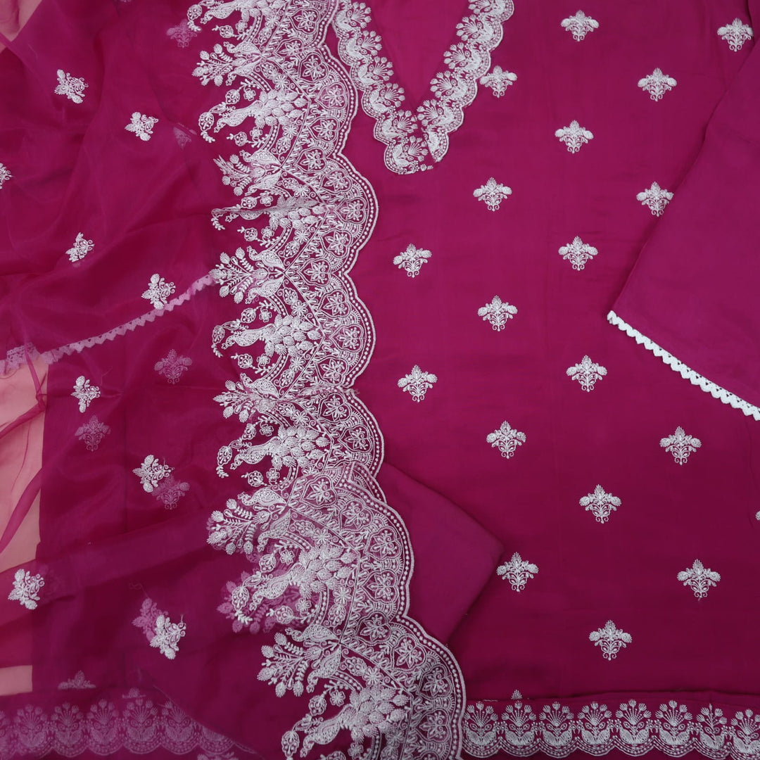 Bandegi Hot Pink Embroidered V Neck Muslin Top and Embroidered Organza Dupatta Set-D2